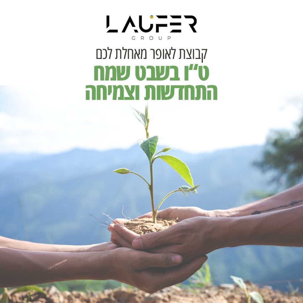 הדגמה לעיצוב